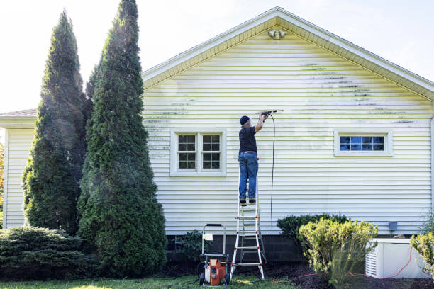 Best Building Exterior Washing  in Bayou La Batre, AL